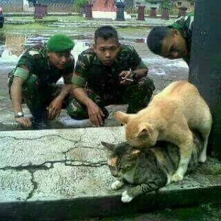 ArmandoGehan5's tweet photo. Nonton bokep ala kucing.. https://t.co/BO2eJBZ8xv
