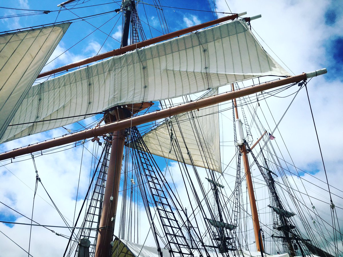 SALTartsdoc's tweet photo. Yesterday's office: filming the @HausmannQuartet playing Haydn and Cage yesterday! #wereonaboat #withHaydnandCage https://t.co/WyFYIjdp49