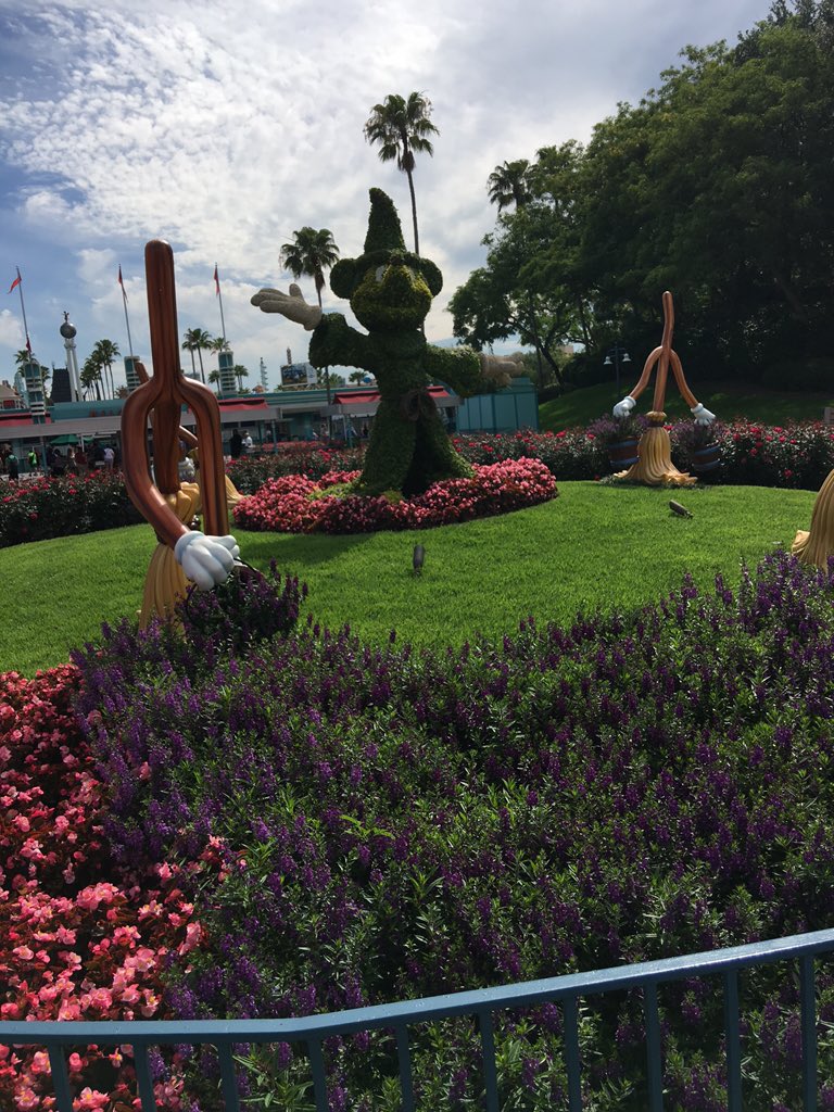 dakota6313's tweet photo. #hollywoodstudios https://t.co/LA0cn7ArHN
