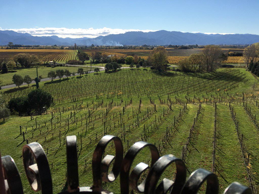 aquidity's tweet photo. Wairau plains from the tower @HighfieldWinery #Marlborough https://t.co/2ikw0lrFgU