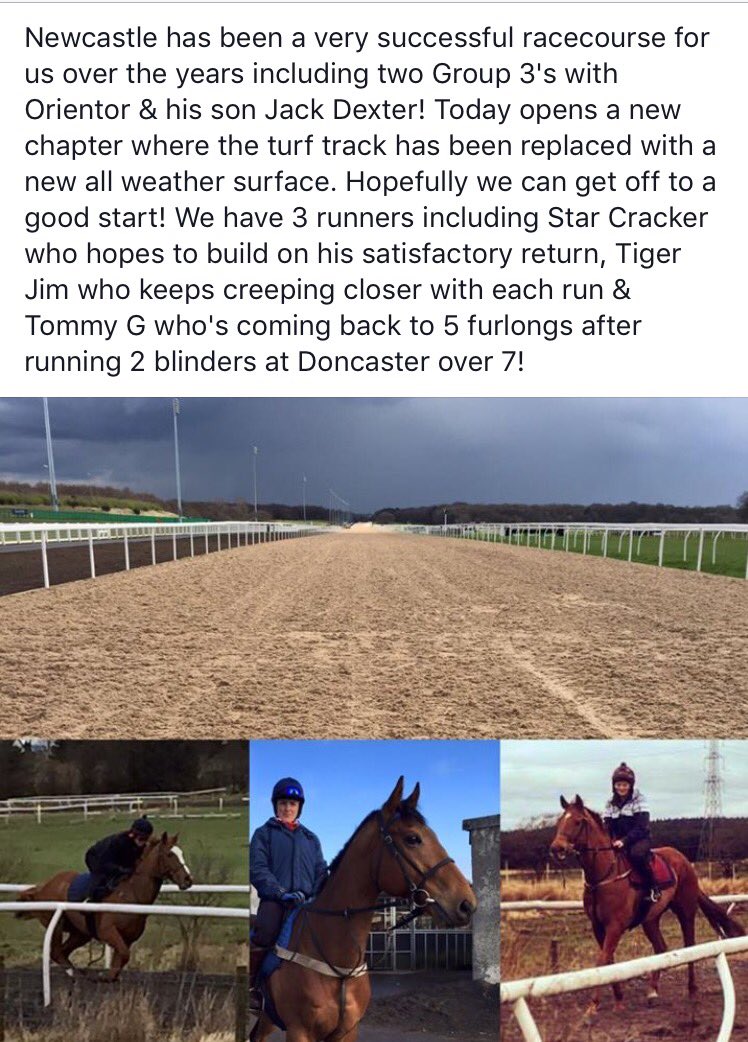 JimGoldieRacing's tweet photo. 3 runners @NewcastleRaces today! #NewEra #AllWeather #StarCracker #TigerJim #TommyG https://t.co/r2sdzUoWvN
