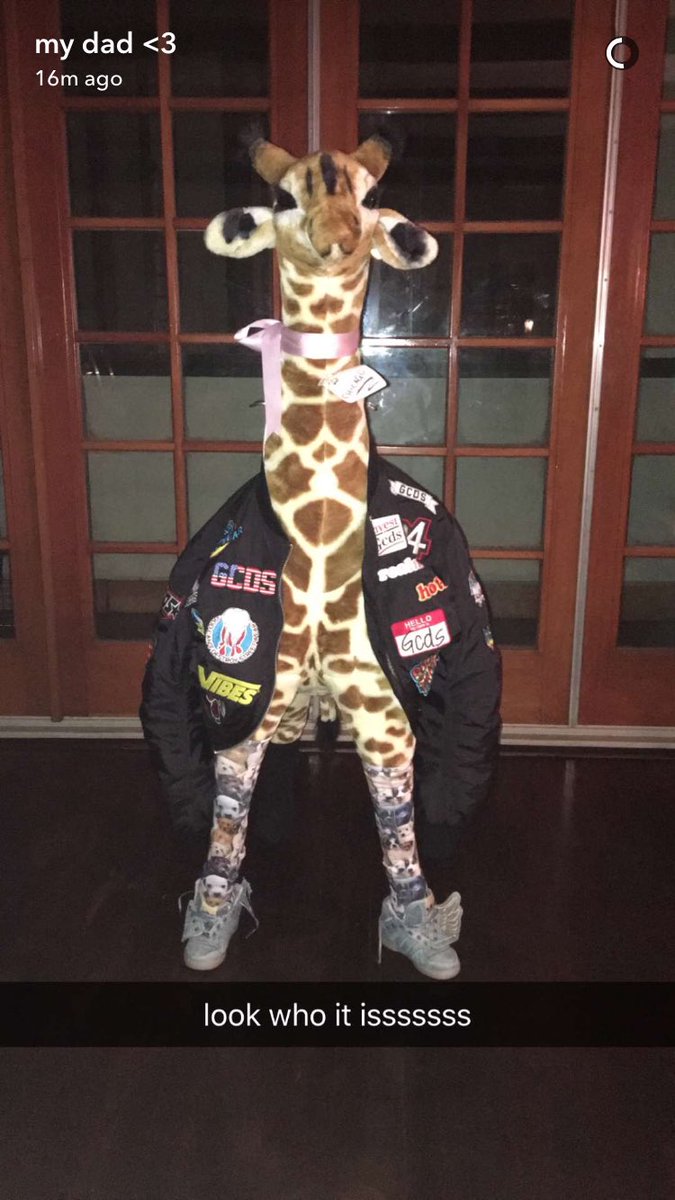 ChicagoGiraffe's tweet photo. lookin rlly nice in my dad's sc story https://t.co/3lqfIsPUR1