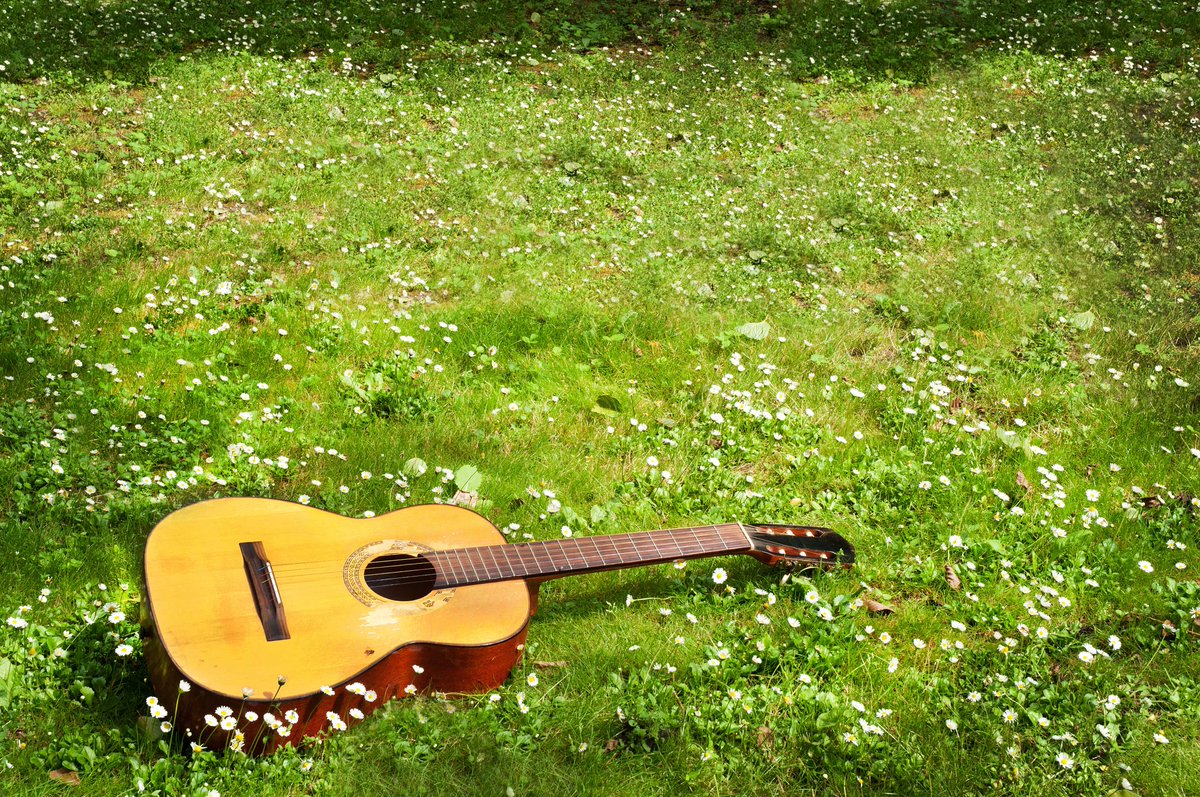 EspacePourLaVie's tweet photo. Quoi faire cet #été? Les arts s’invitent au #Jardinbotanique #Mtl #culture https://t.co/szUptLNinc https://t.co/ITy0QwYajw