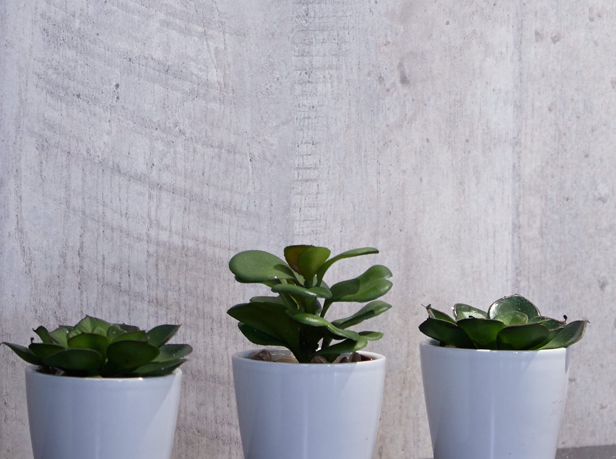 For the bathroom, have a sneaky peak at our Nuance panels in Concrete Formwood coming soon! #designwithbushboard 2/2