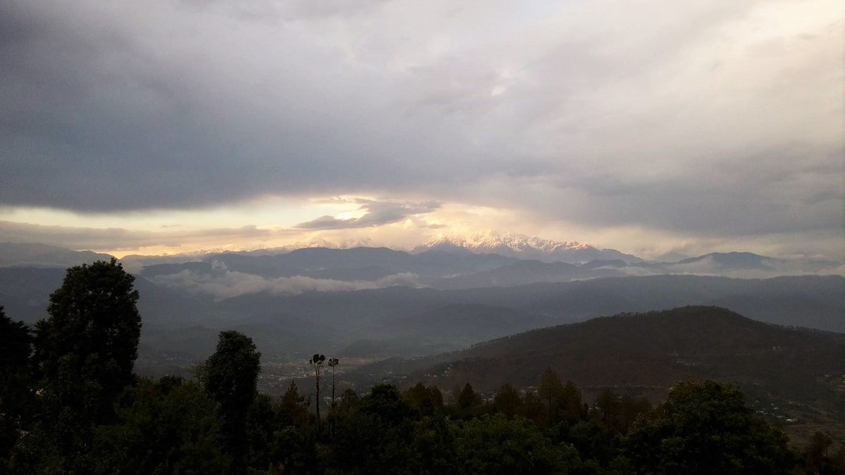 Prateep_Basu's tweet photo. Peace is when we co-exist with nature https://t.co/r3ZgNiSYcw