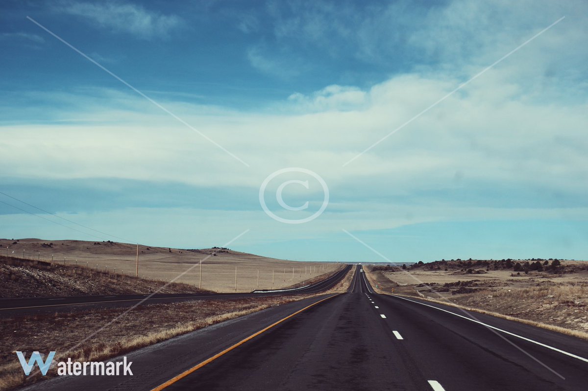 gr_prints's tweet photo. Definitely a long road. Some new prints are up! https://t.co/idjpOYGm5b