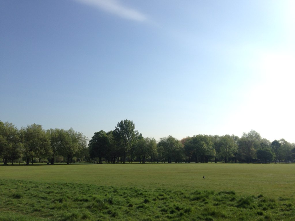 Exercising in the sunshine is the dream #blueskythinking