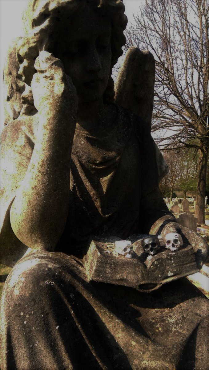 SinCastSilver's tweet image. 