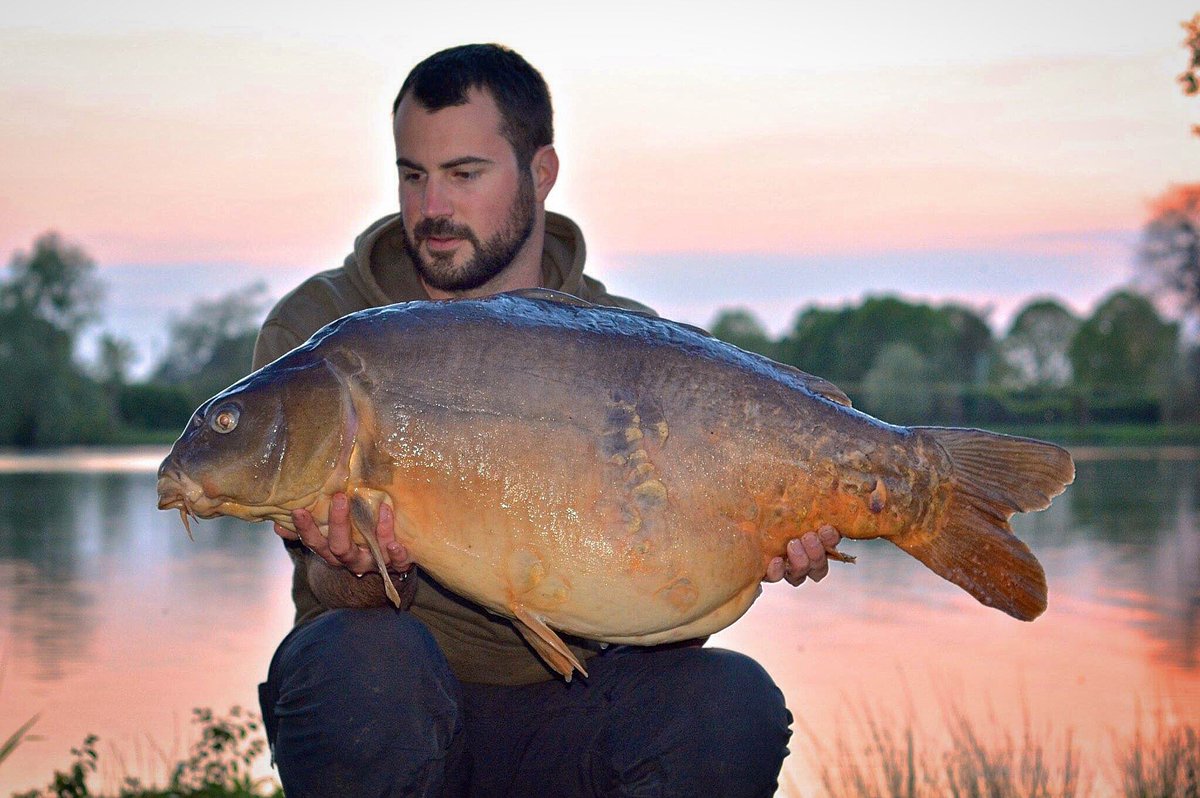 chateaudubeck's tweet photo. One of a brace of 40s on my final night in France @Baitworks #atlanticheat tempting both to the bank #works https://t.co/EgJMEwiArk