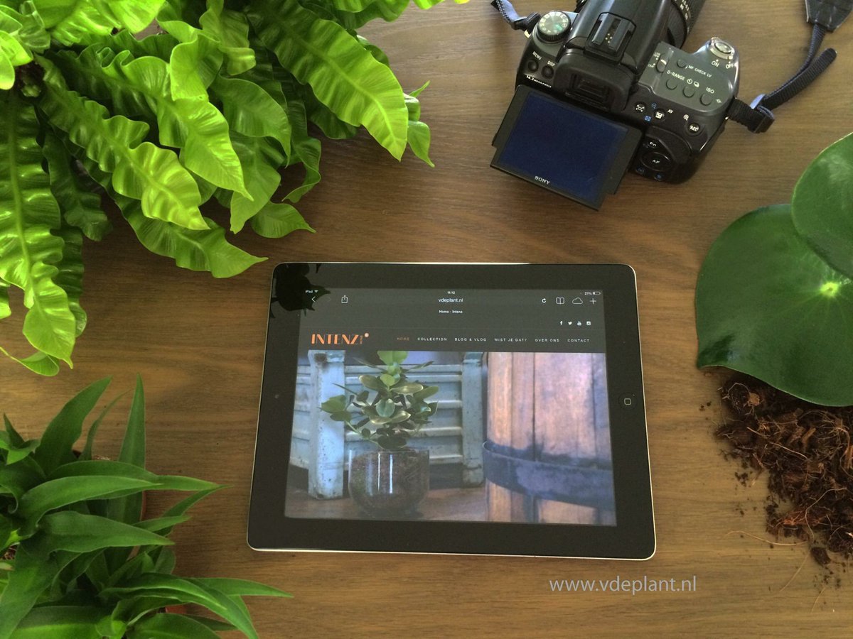 Onze website Intenz Home is live! Graag nodigen we je uit op vdeplant.nl