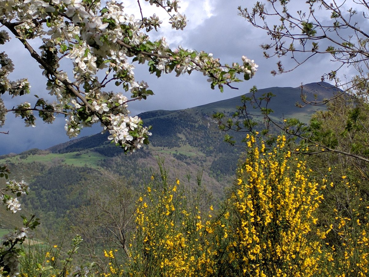 eltusell's tweet photo. Primavera a la #ValldeRibes #ElTaga @espaiterra https://t.co/0hksu8oDUA