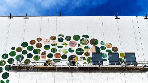 wireditalia's tweet photo. Google ridipinge i suoi data center con murales artistici https://t.co/fIuyWTQrjP https://t.co/iEpggyyLBt