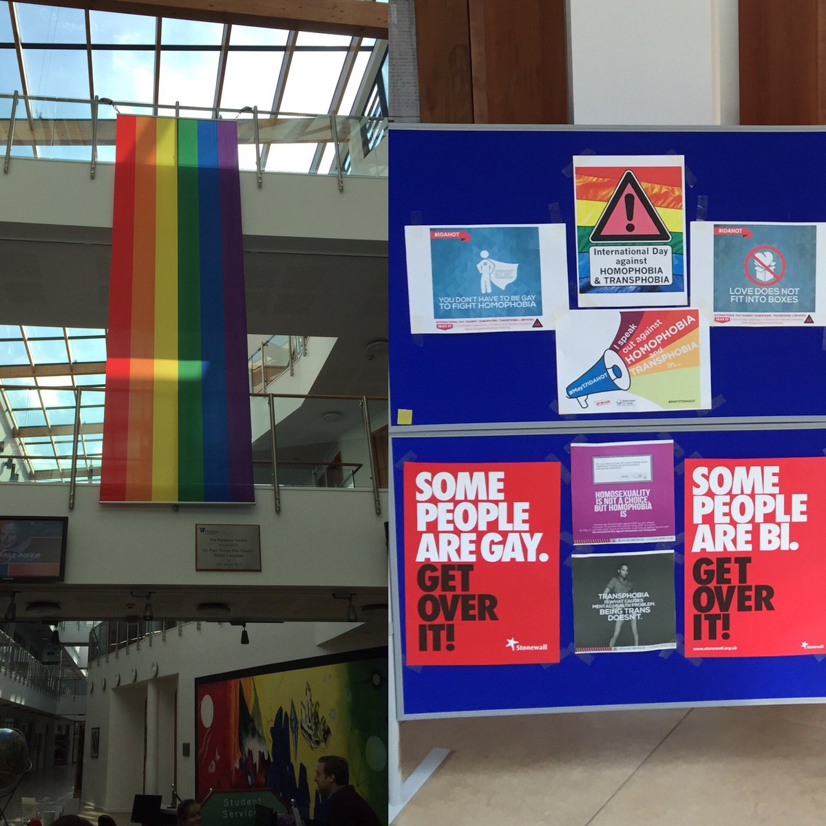 Celebrate #IDAHOT by checking out the displays in the palatine centre!! The banner is gorgeous!