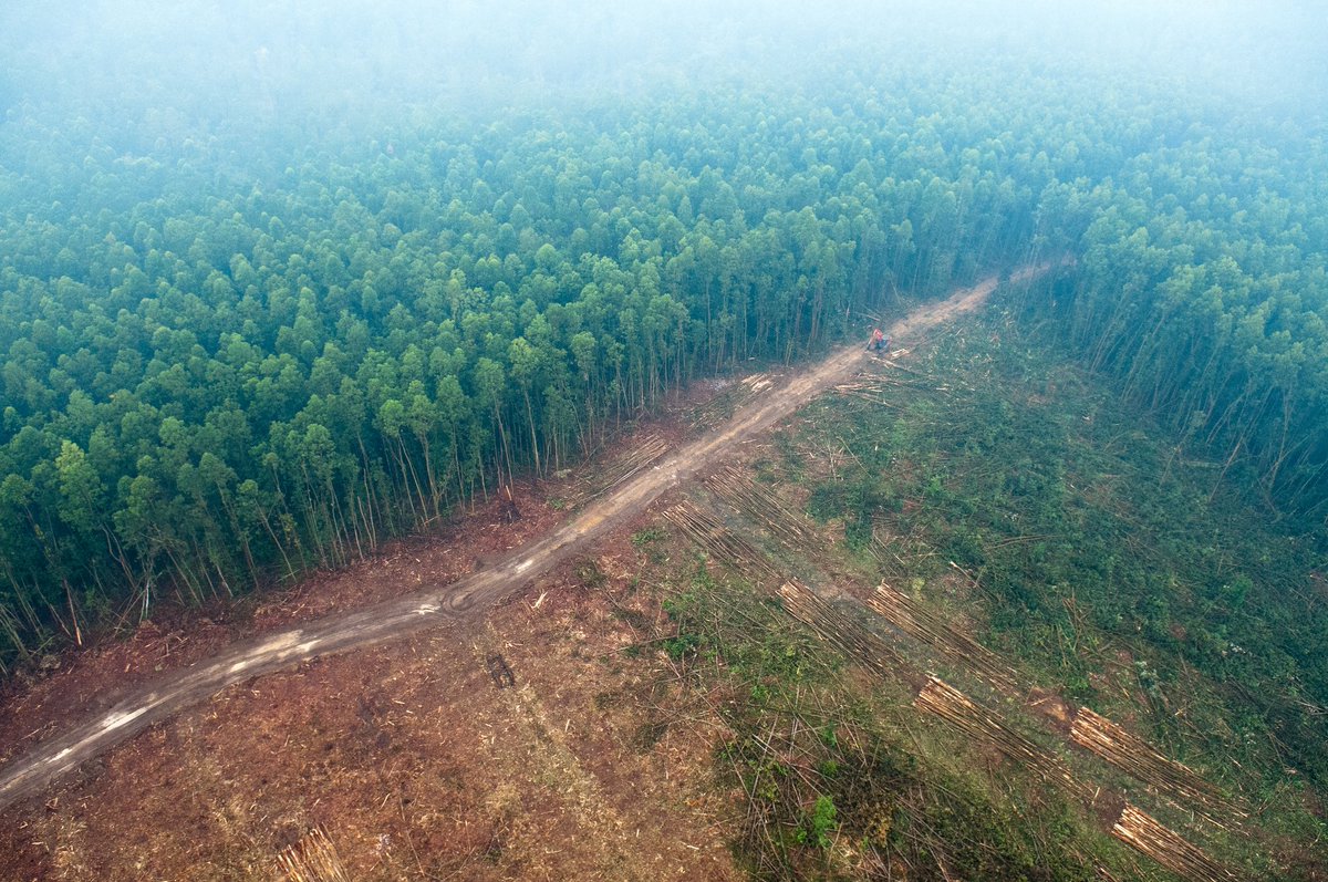 IIASAVienna's tweet photo. #citizenscience game @picturepile is halfway to goal: Why play? #deforestation https://t.co/bX3mJ1NRqK https://t.co/2p4BTT5Sa8