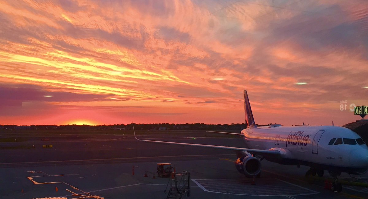 andrewblum's tweet image. Got Blue? @JetBlue @NStrissel