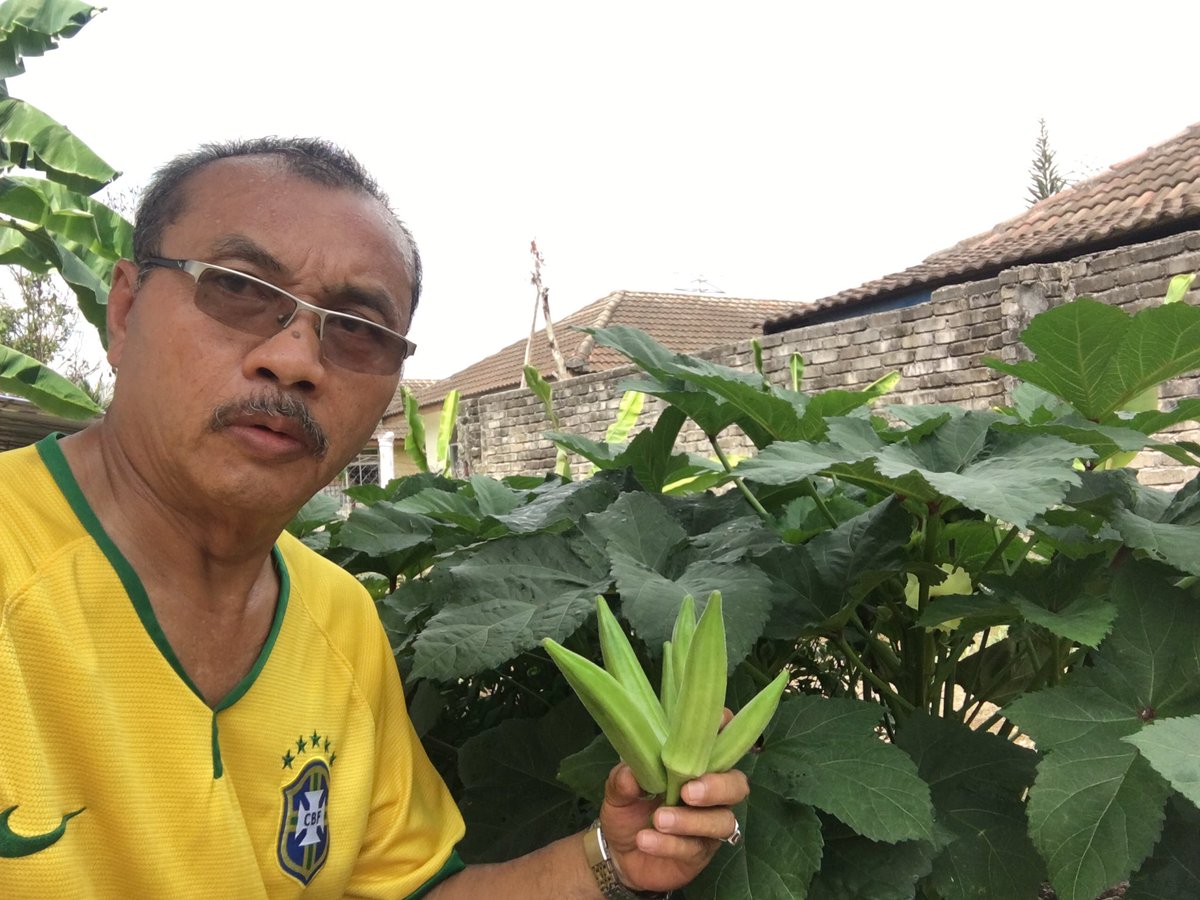 RboRahim's tweet photo. Air tangan sendiri...Bendi Segar bebas racun perosak. https://t.co/QBtQv6aMUF