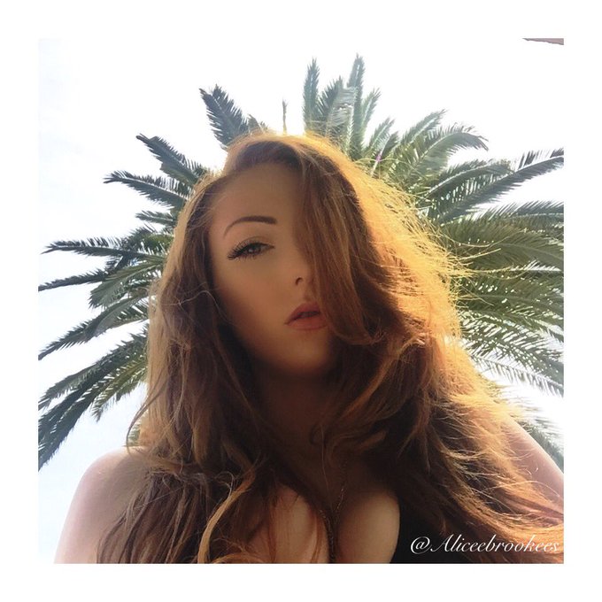 Palm tree head 🌴 shooting for https://t.co/kyI3lrZ0OY https://t.co/6Iqd2uNErM<a href="/tag/bts"class="tags"><span>#bts</span></a>