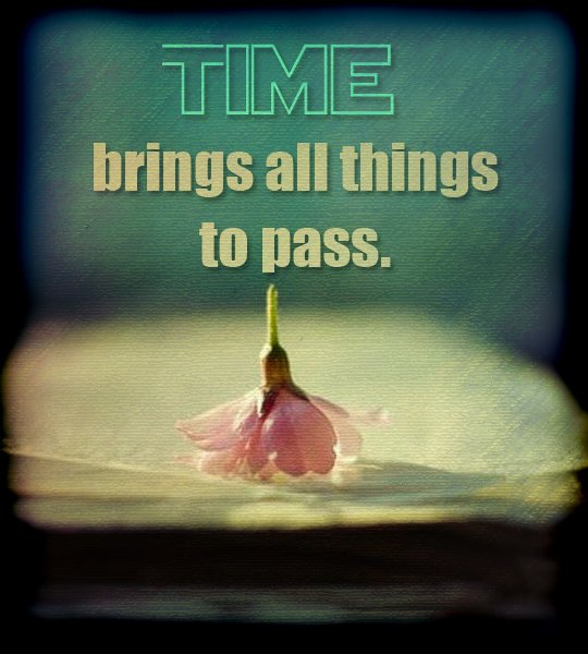 BulkMessage's tweet image. #Time brings all #things to #pass.