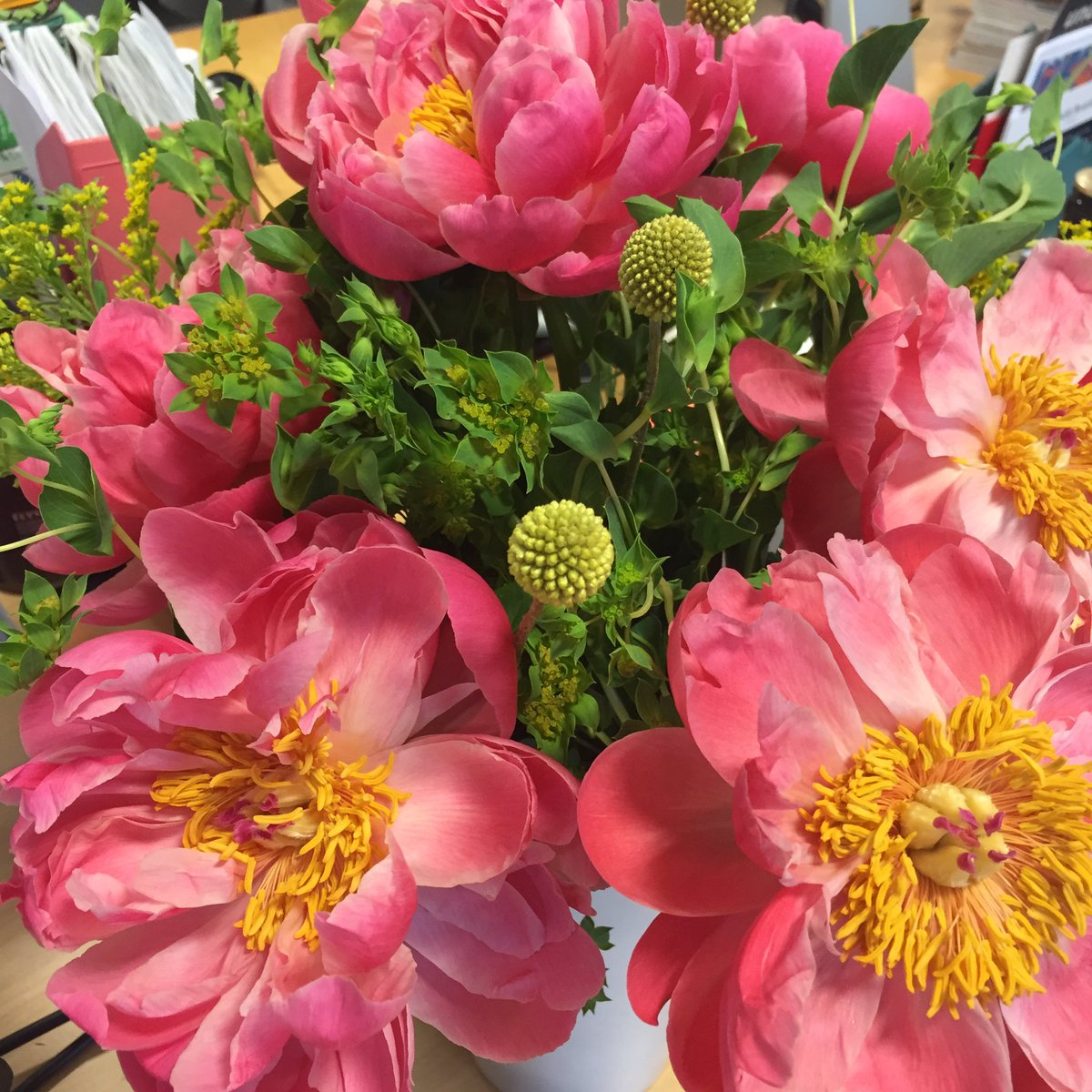Beautiful peonies from <a href="/BloomandWild/">Bloom & Wild</a> brightening up the <a href="/BazaarUK/">BazaarUK</a> office 🌺