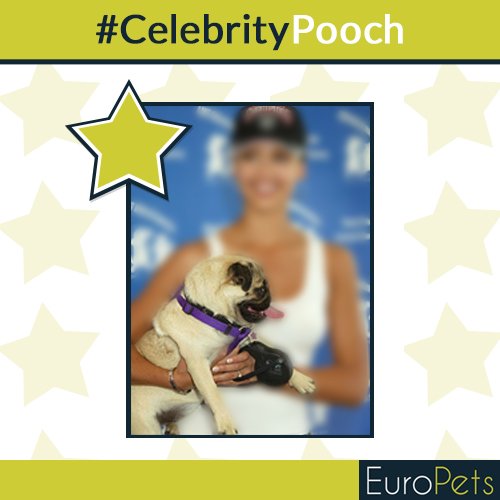 MyEuroPets's tweet photo. #CelebrityPooch Can you guess the celebrity owner of this dog? Hint: She’s famous for her role in Sin City! https://t.co/xShSz2CG9f