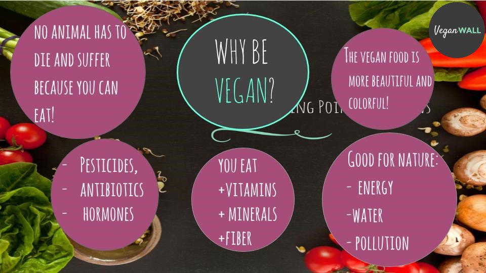 VeganWALL tweet media