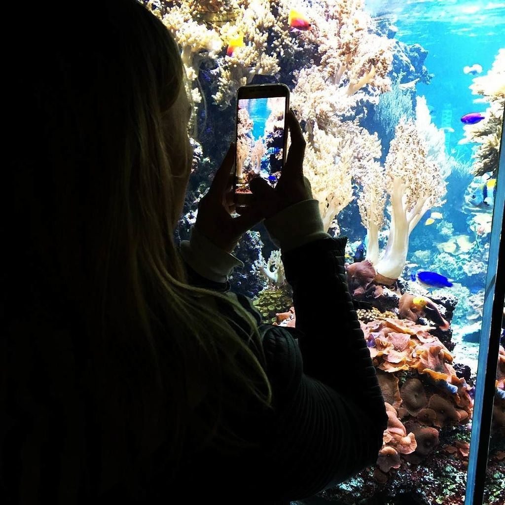 BriannaAandrade's tweet photo. Enjoy the Underwater World 😍 #fotografia #potd #loveit #sohappy #underwaterphotography #underwaterworld #discoverth… https://t.co/61UmCIJ1JO