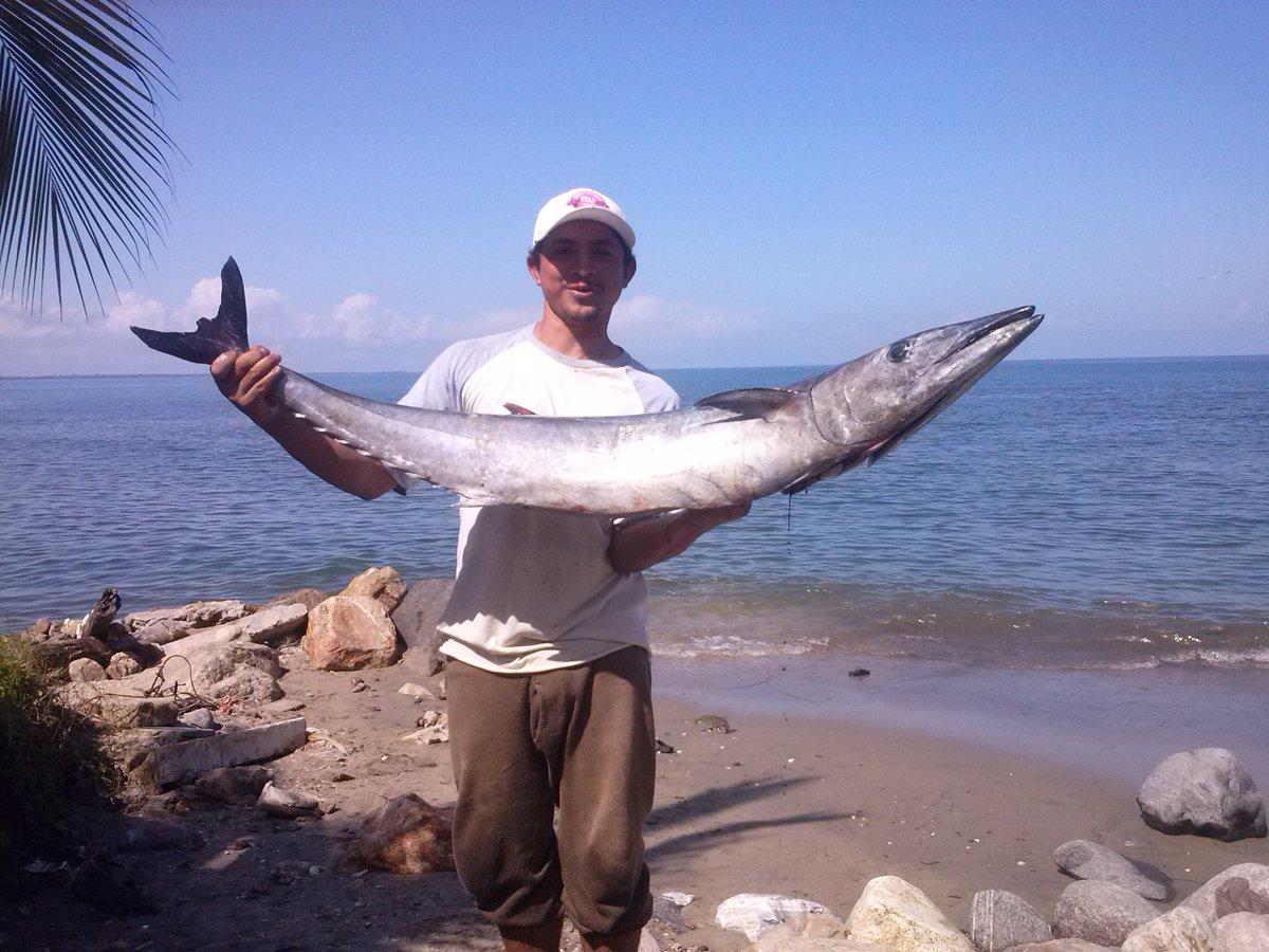 Cepudo Hn tweet media