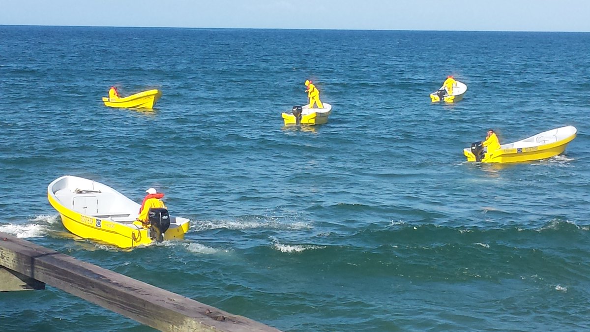 Cepudo Hn tweet media