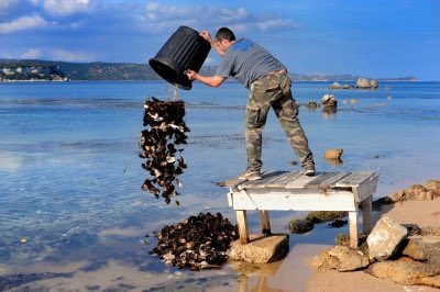 FixPollution's tweet photo. Thousands of tons of waste and trash are dumped into the ocean daily. #waterpollution #water https://t.co/2IWdHdvwnX