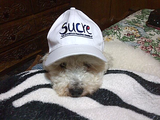 Jeter260's tweet photo. @MujerEnTACONES https://t.co/ubEa3bhW8U