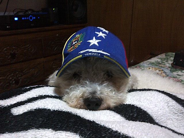 Jeter260's tweet photo. @EylinOrtiz1 https://t.co/zDlh2ohRaZ