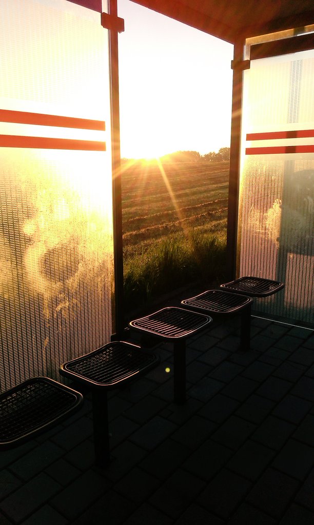 dness99's tweet image. It looks so nice how the sunshines came out