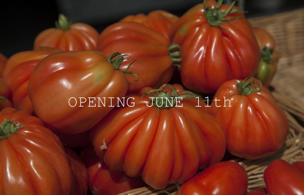 We’re bringing fresh local produce to Putney High Street every Saturday from 11th June from <a href="/WildOrganic/">organic wild herbs</a> +many more