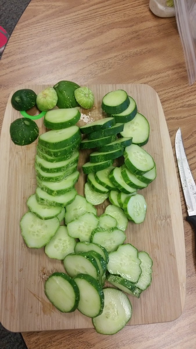 SandhillsP's tweet photo. Cucumbers from the garden in Ms. Sadler's class with vinegar, ranch, or salt. Delicious! https://t.co/jP3vZzrhWk
