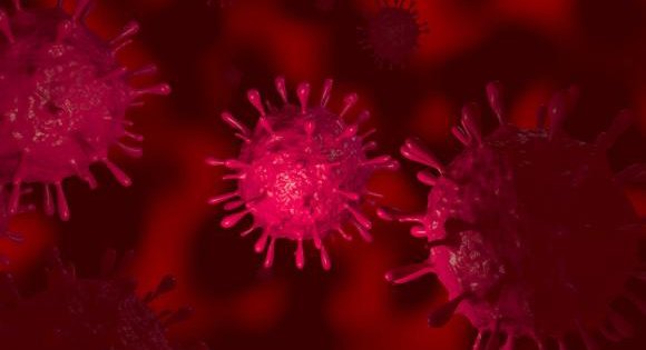 KU_Leuven's tweet photo. Onderzoekers mogelijk een stap dichter bij genezing #HIV-infectie https://t.co/NpaI5SXyPc https://t.co/3irjoaYxLL