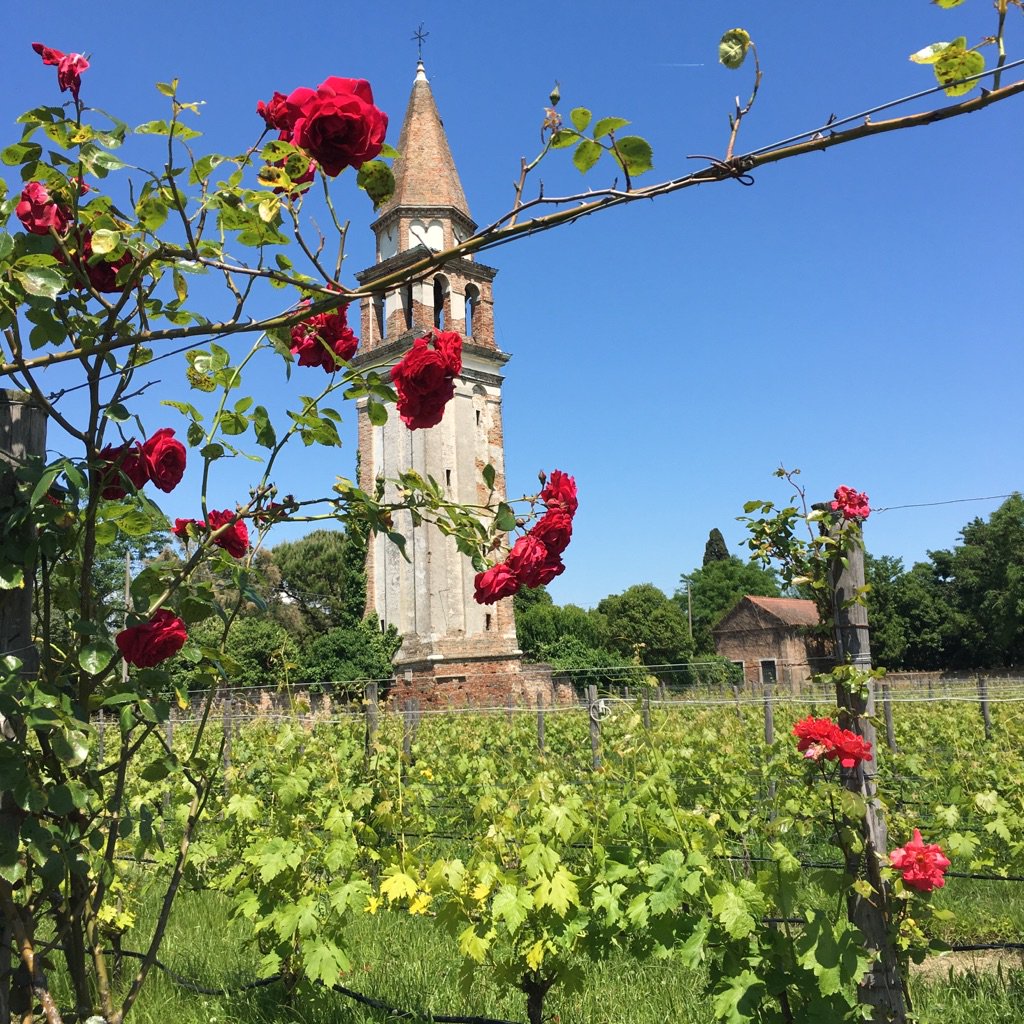 Lunch venue (yep, I know)... <a href="/moltonbrownuk/">Molton Brown UK</a> #rosaabsolute #venice