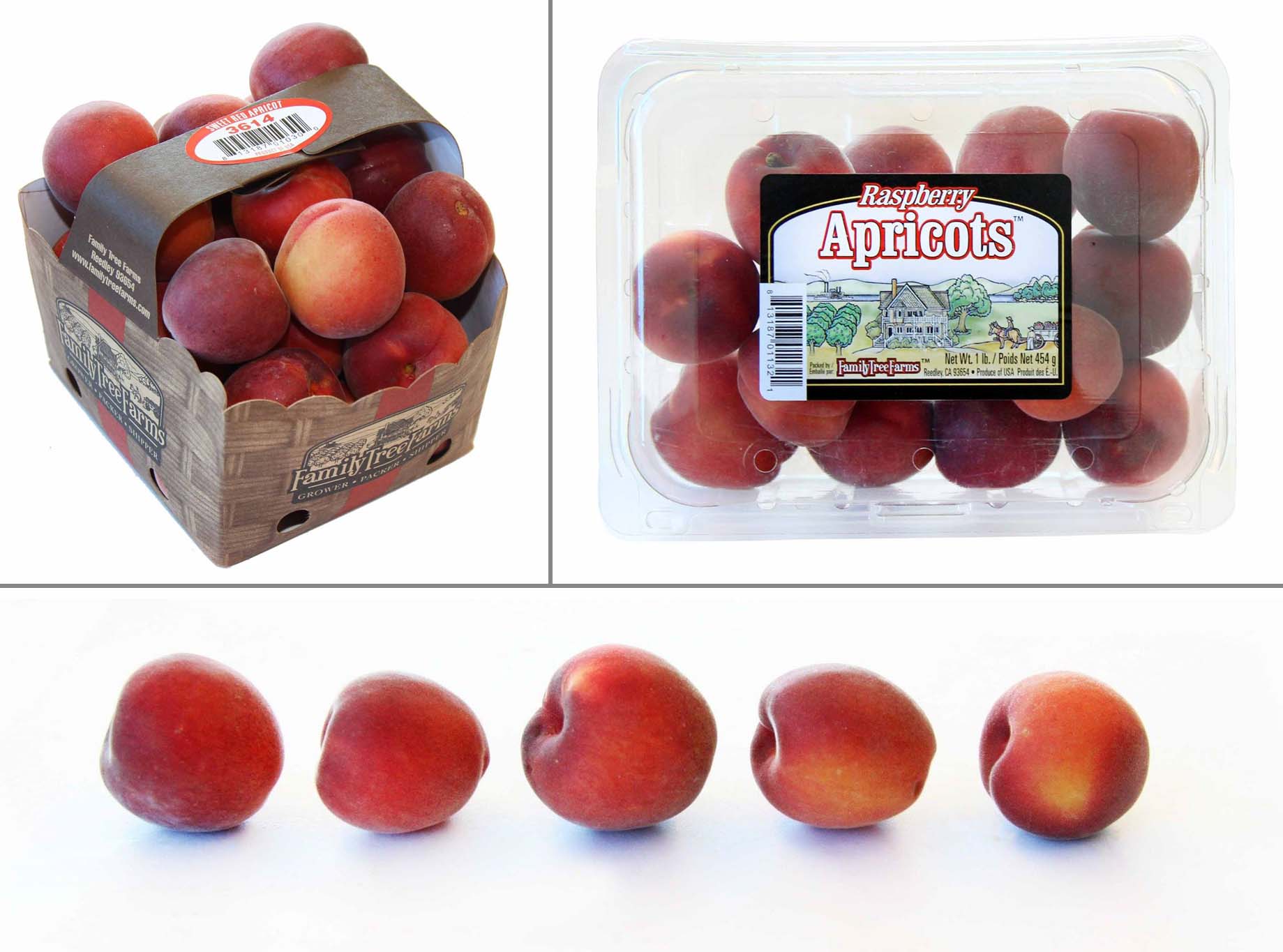 Family Tree Farms - Peaches