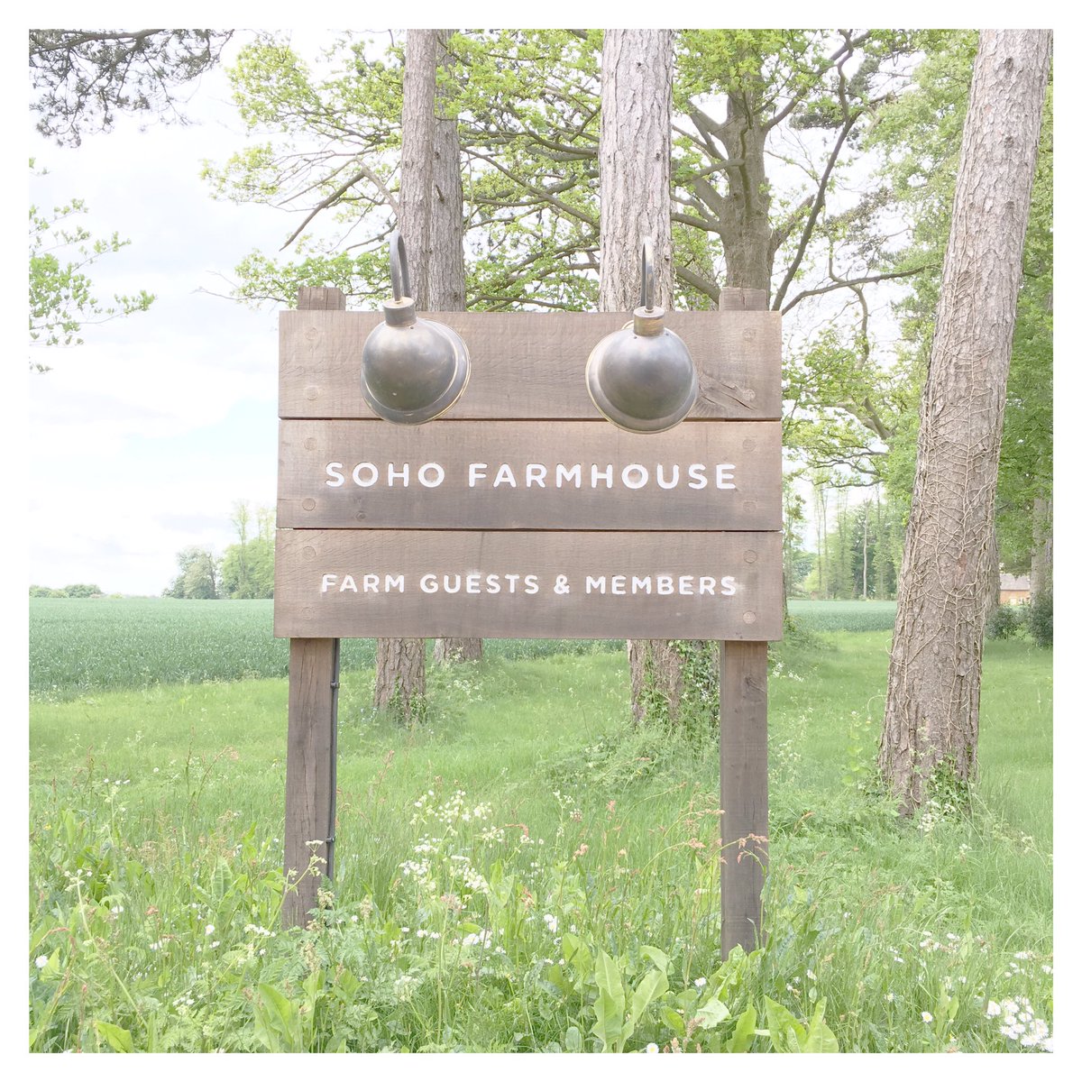 Lovely sunny morning at the farmhouse catching up with @HoneyandBloom1 always feel happier for seeing you 😘