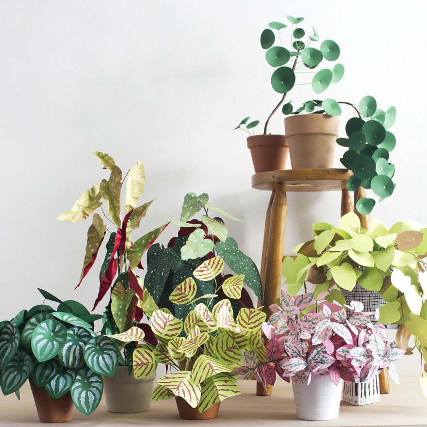 DDDesignation's tweet image. Awesome plants made from paper: boredpanda.com/plants-made-fr… #plants #diy