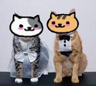 Cinemanimo1's tweet image. ift.tt/1UOIcTu This koodent hav terned owt mor perfekt 😍 #lelt (bolt x lexy) submited by @nekoatsumekits …