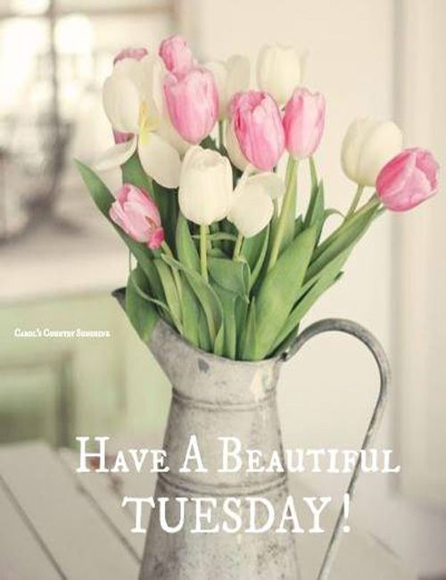 answersos's tweet image. 