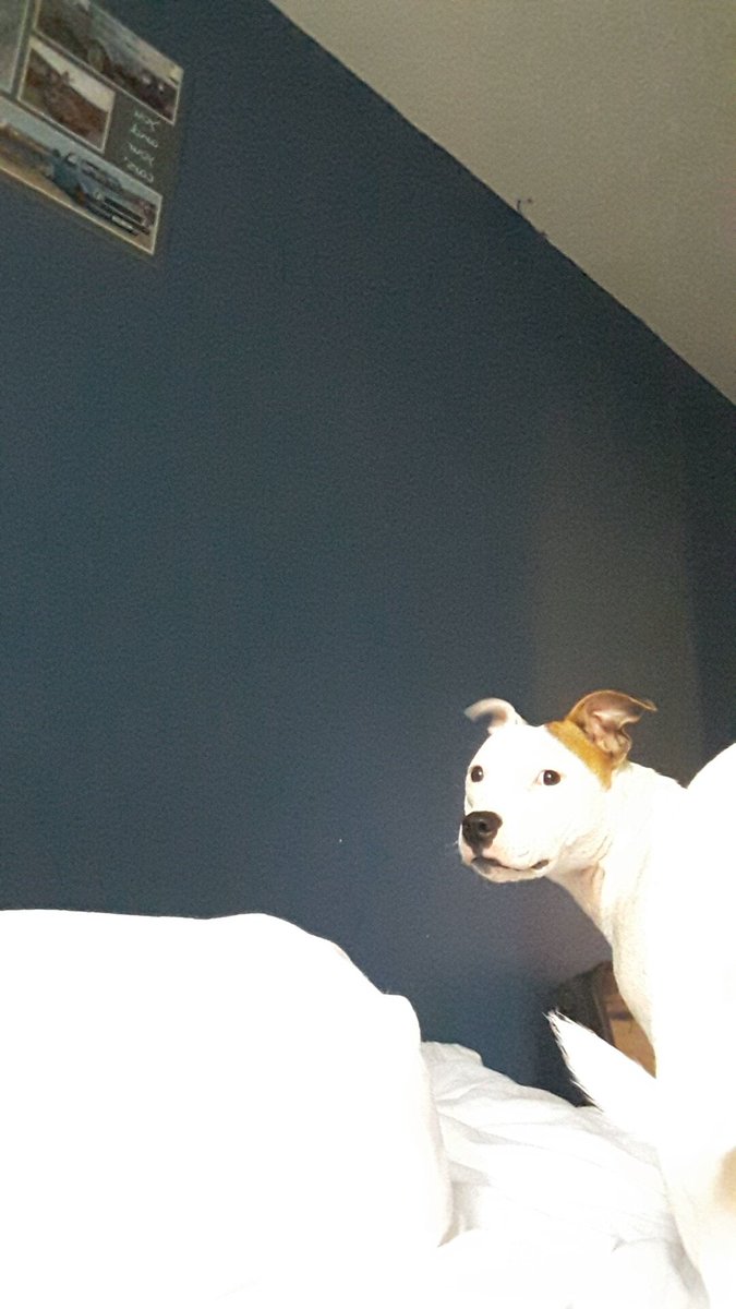 markmoreland_'s tweet image. Ma best mate