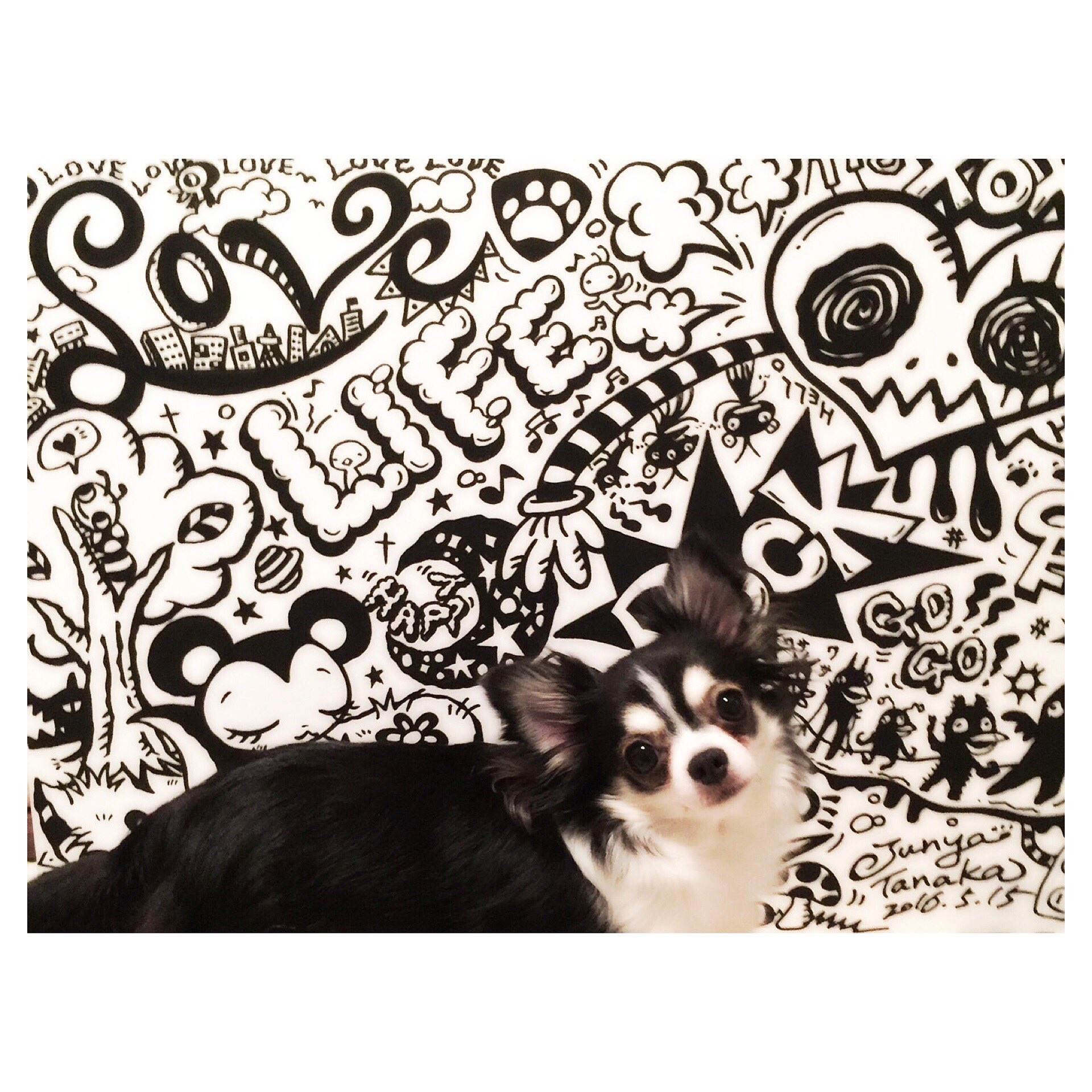 田中純弥 アモ 白黒の絵 似合うね笑 ペン画 白黒画 お絵描き イラスト ポップアート キネコ 田中純弥 Junyatanaka Drawing Mydrawing Kawaii チワワ ロンチー T Co Q919iaa5vv Twitter