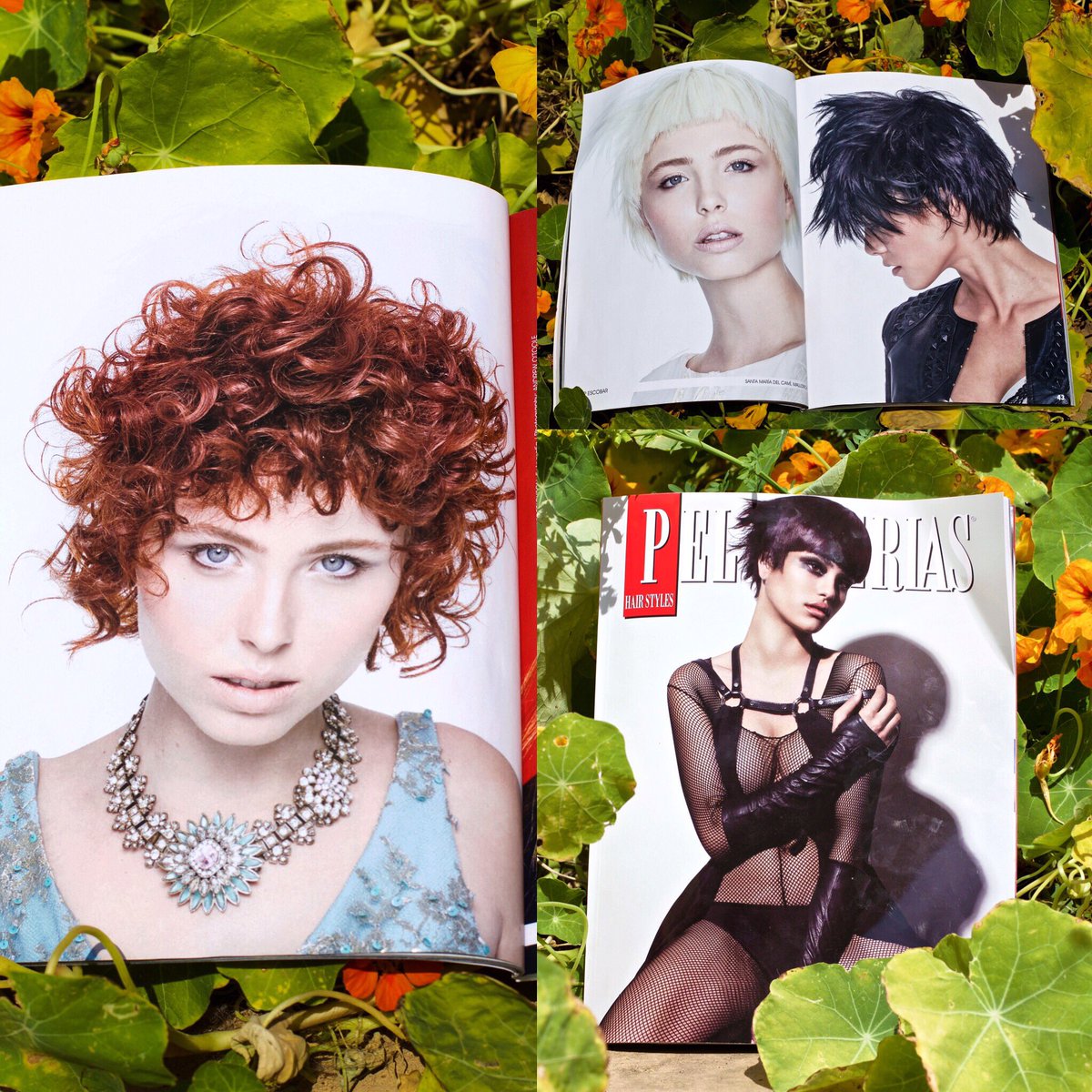 La @revistaPHS nos dedica 3 páginas de nuestro trabajo de cortes 2016. Gratitud y satisfacción nos invade. Gracias