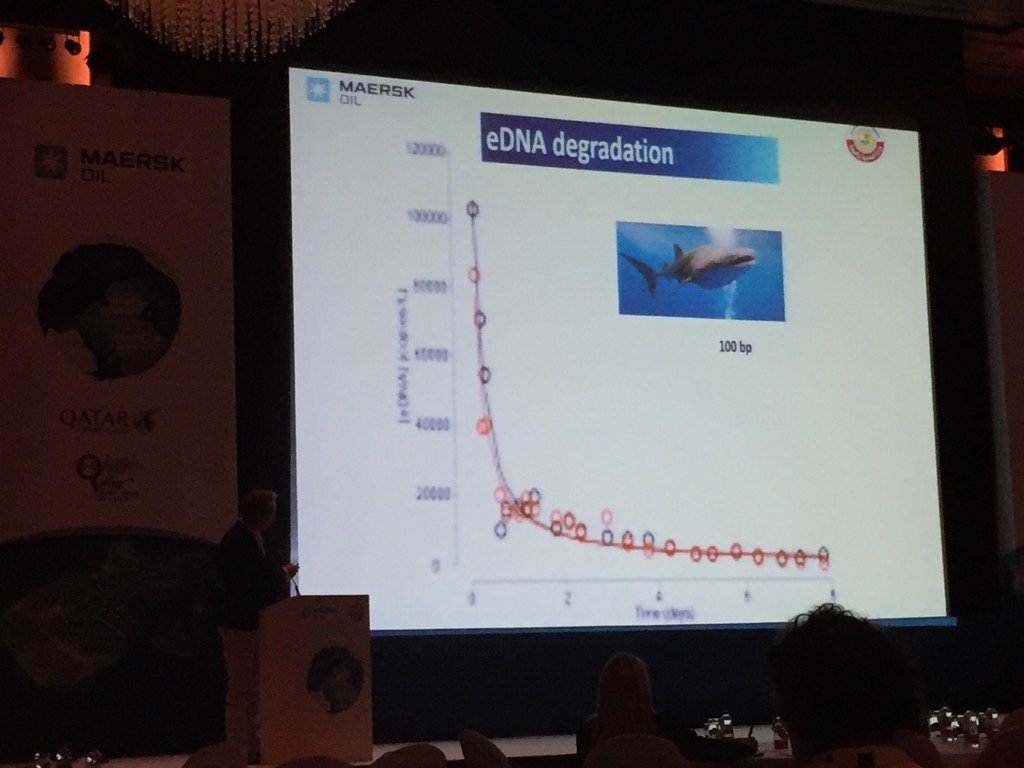 MLBerumen's tweet photo. Thomsen: #eDNA degradation is fast enough to potentially be ecologically relevant temporally and spatially. #IWSC4 https://t.co/fm2B7ZtP65