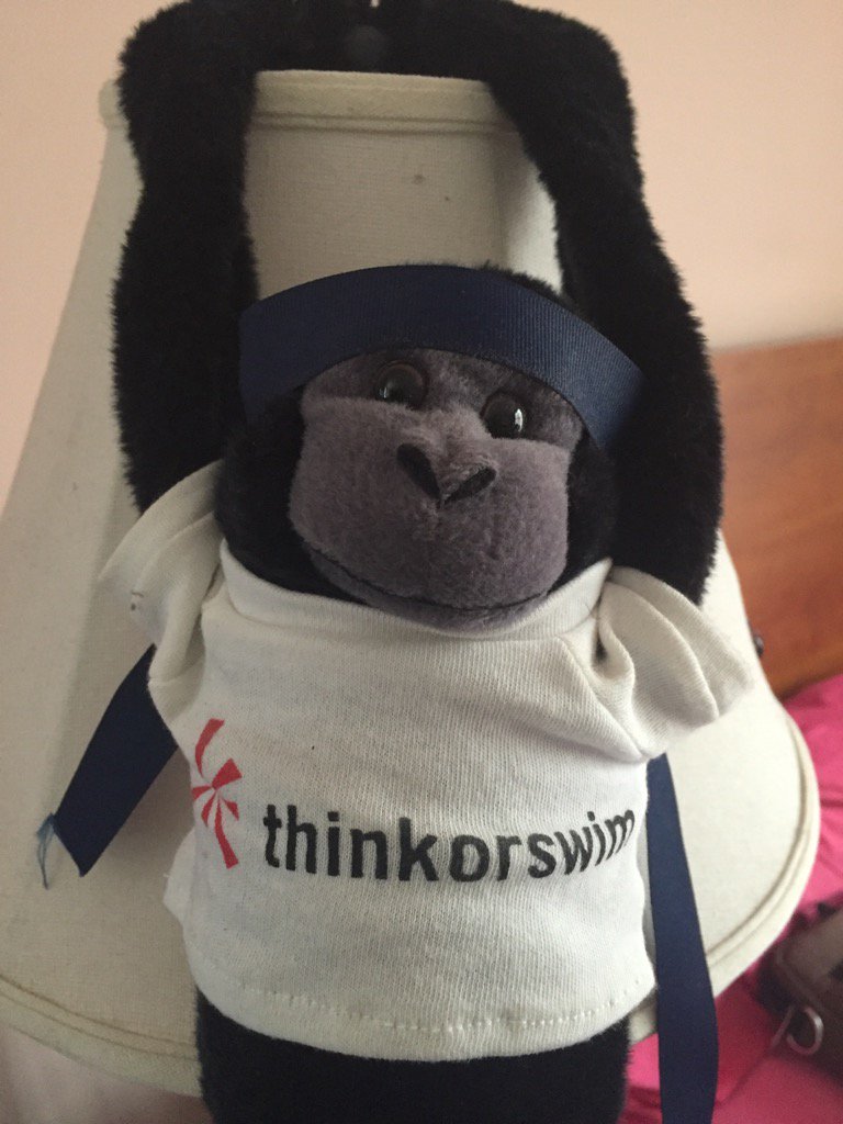 erikig's tweet photo. @Tony_BATtista #Pista has taken #ToSMonkey hostage - awaiting apology from #Tom. New #PistaDoll would suffice too. https://t.co/YaBWlpVCvo
