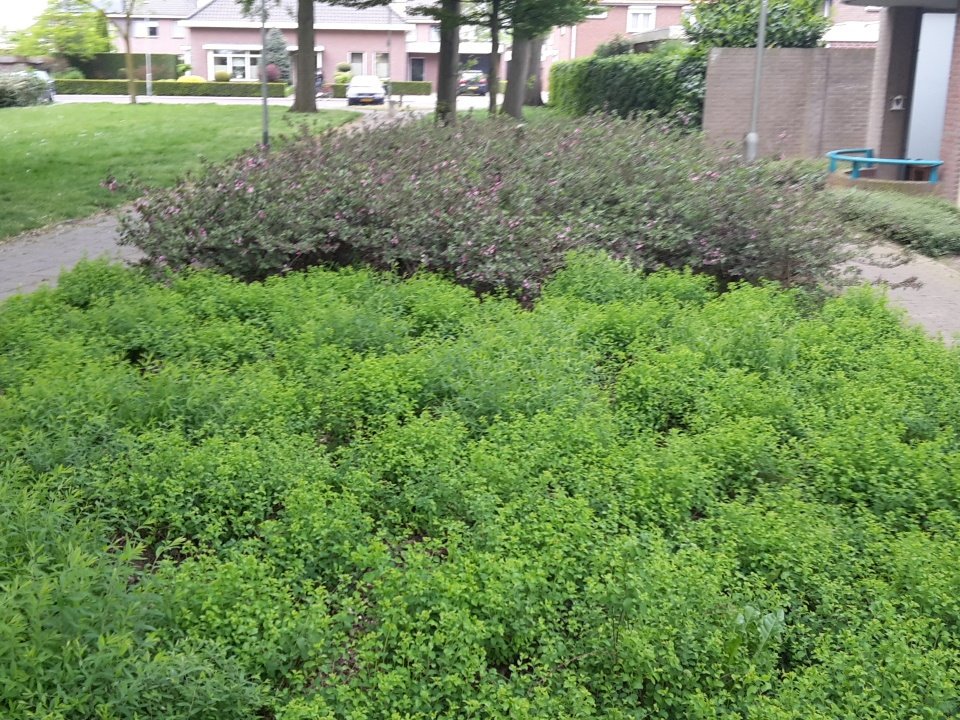 Mooie pitchparty bij # imagro. Keep up the green revolution