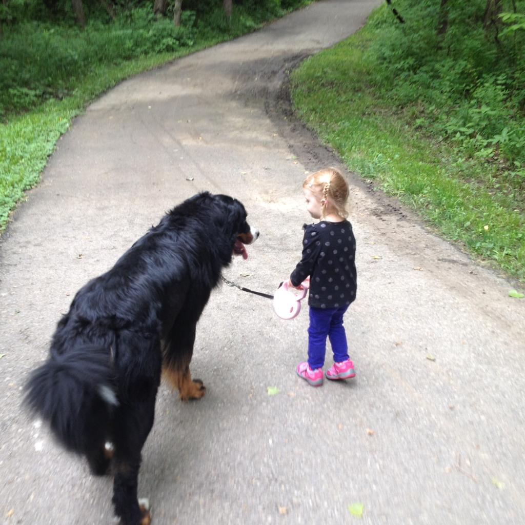 Elanco4Pets's tweet photo. "We love to go for walks...It’s quite an art but it’s my favorite part of the day!" #NationalPetMonth #BayerPet https://t.co/eTOEhhVi3p