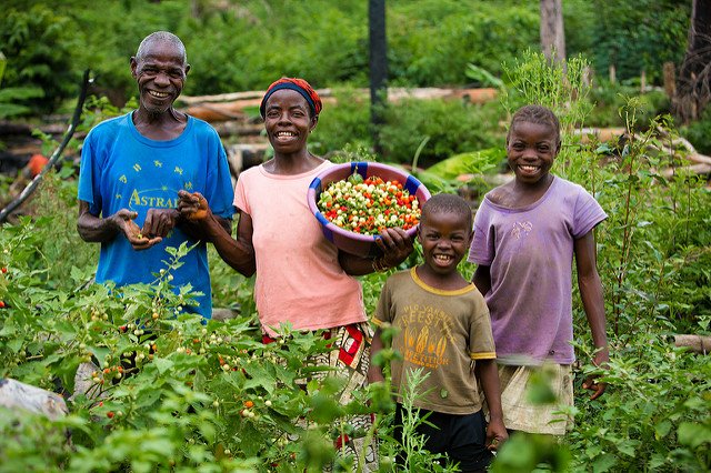 FeedtheFuture's tweet photo. When #WomenInAg have equal access to resources, their families thrive and hunger &amp; poverty are reduced. #WD2016 https://t.co/Yr1Xp6nMRK