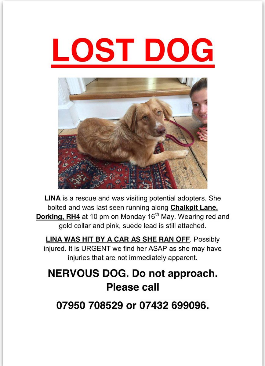 @Love_Dorking Lina is missing in the #Dorking area. Please watch out for her and RETWEET! Thank you! #lostdog